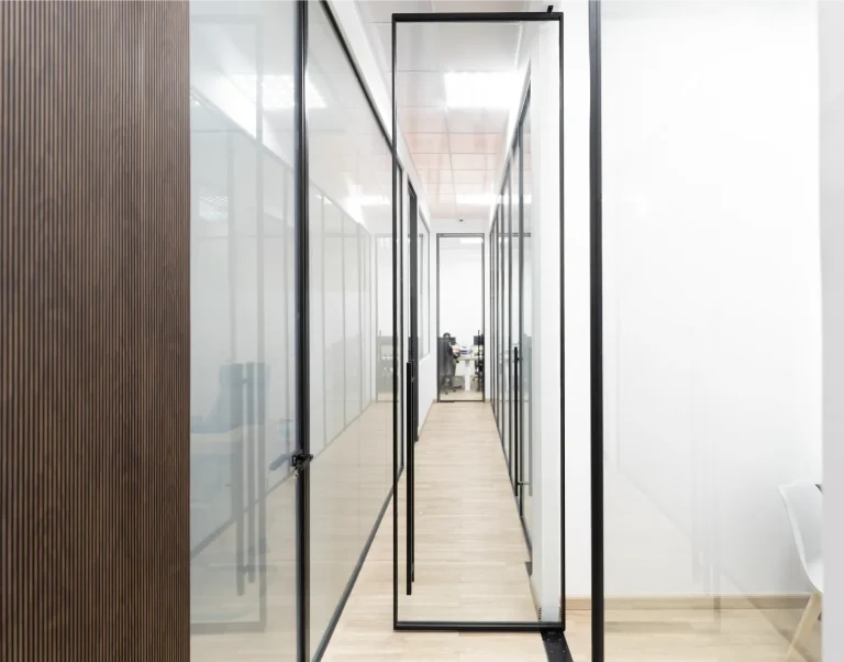 Slim-Pivot-Door